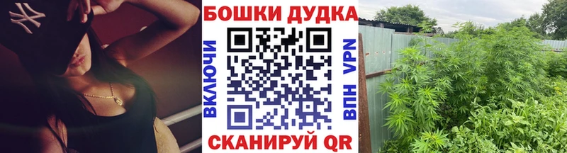 Шишки марихуана планчик  цена   Оха 